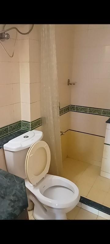 Bathroom in 4 BHK Apartment at DLF Westend Heights, Sector 53 – for Rent