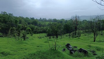 Plot Area in  Land at Mahad – for Sale