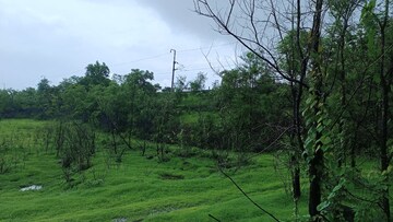 Plot Area in  Land at Mahad – for Sale