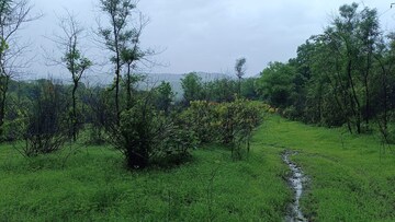  Land – Garden View at Mahad - for Sale