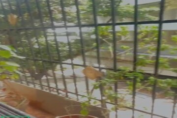 Balcony in 2 BHK Apartment at Kalyan – for Rent