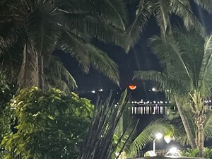 1 BHK Apartment – Exterior View View at Versova Heaven CHS, Andheri West - for Sale