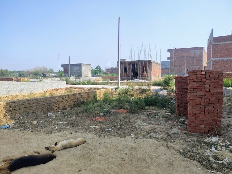 undefined, ace-city  60 Sq.Yd. Plot In Sector 1 Greater Noida Greater Noida 8885142