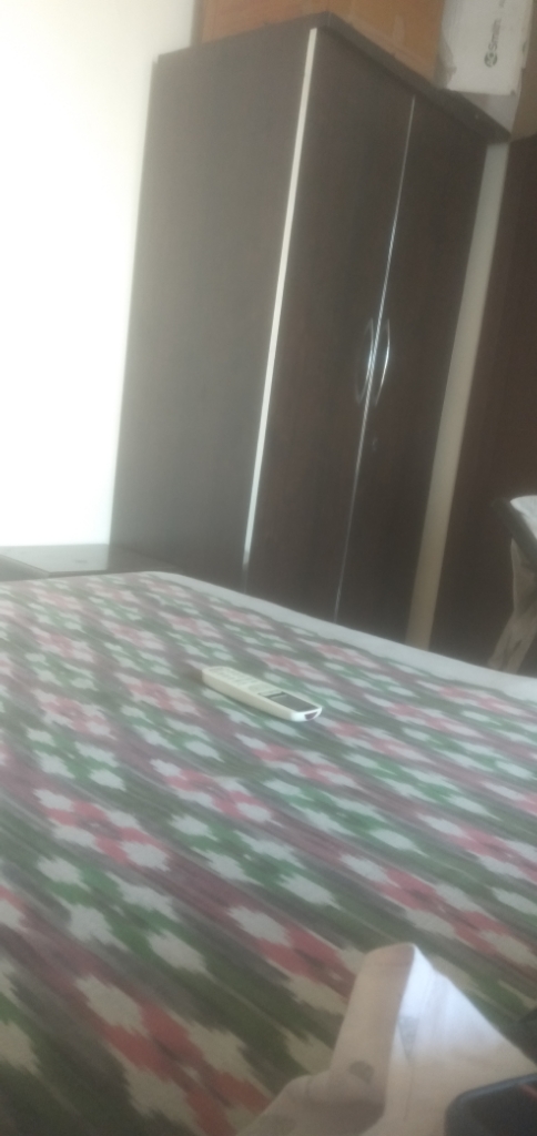 2.5 BHK + Study Room Apartment For Rent in JKG Palm Resort