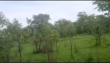 Plot Area in  Land at Mahad – for Sale