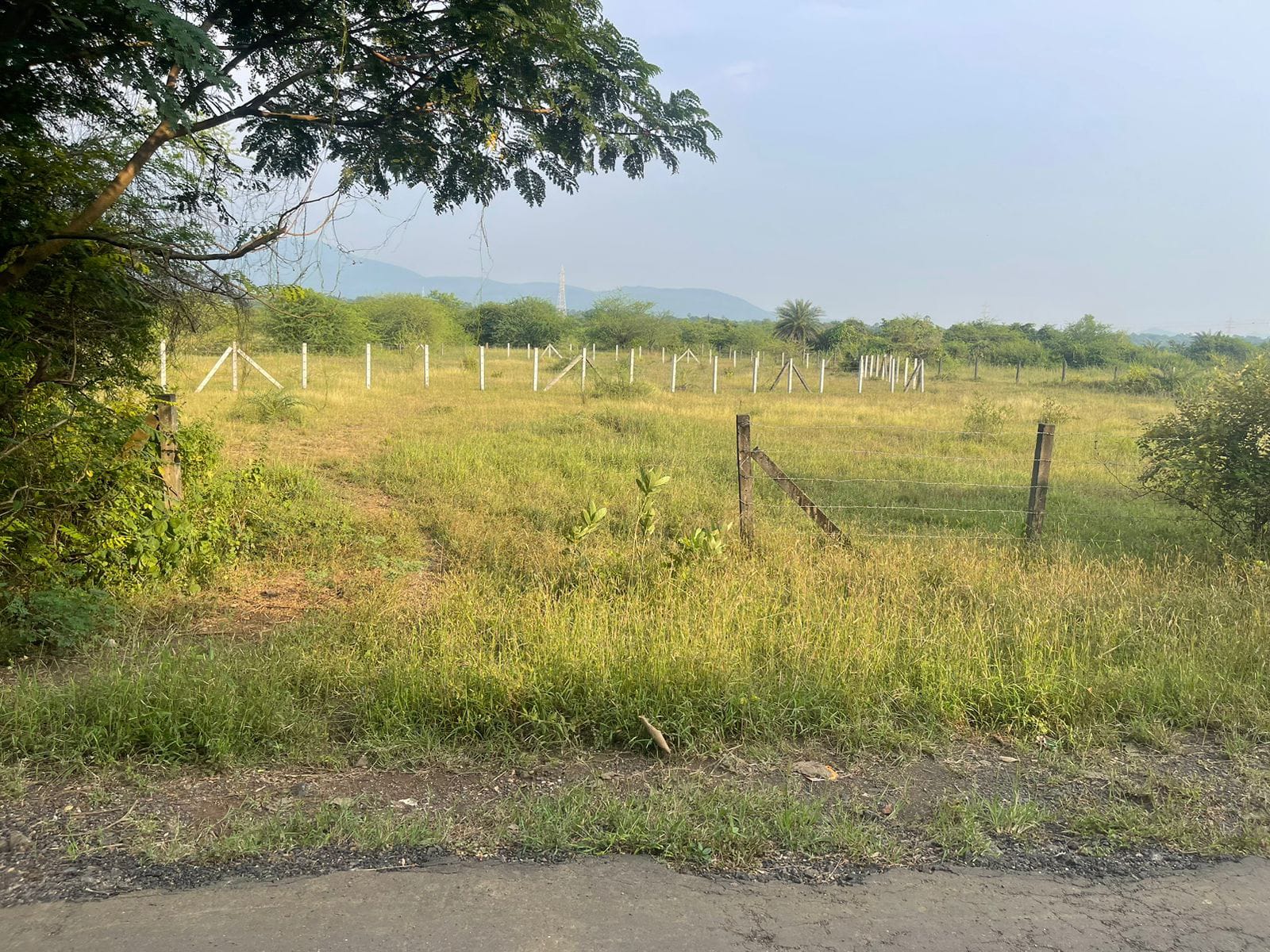 Plot For Sale in Andheri East
