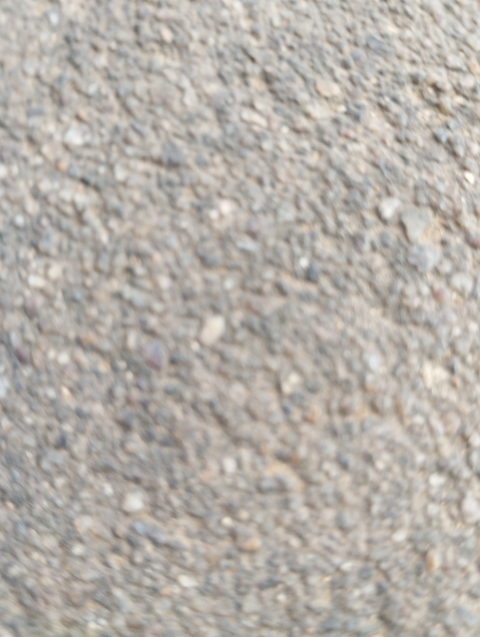 3 BHK + Pooja Room Apartment For Rent in Ramky Towers