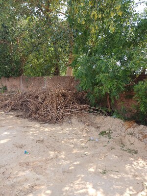 Plot Area in  Plot at Bhopani – for Sale