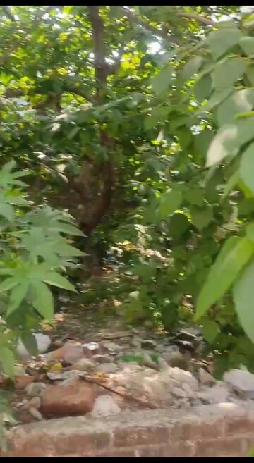  Plot For Sale in Sahastradhara Road