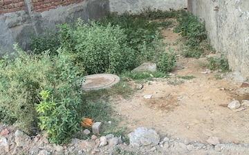 Plot For Sale in Sector 56