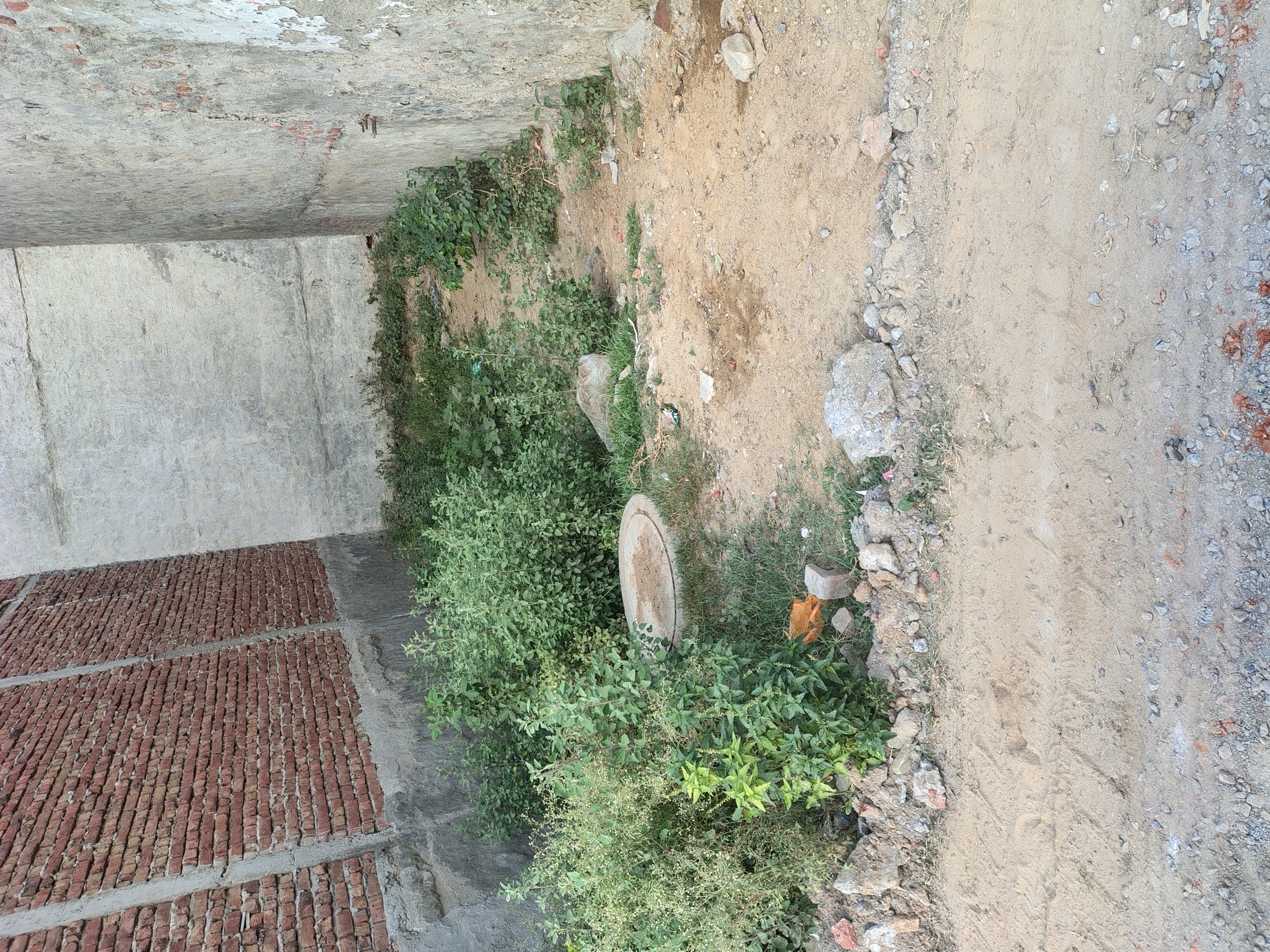 Plot For Sale in Sector 56