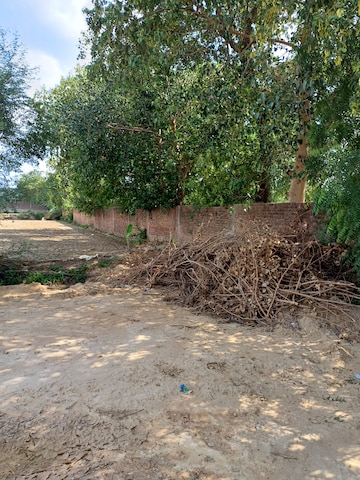 Plot Area in  Plot at Bhopani – for Sale