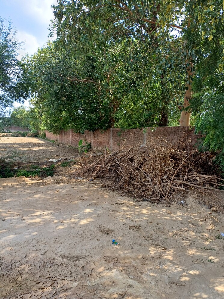 undefined, bhopani  55 Sq.Yd. Plot In Bhopani Faridabad 8887831