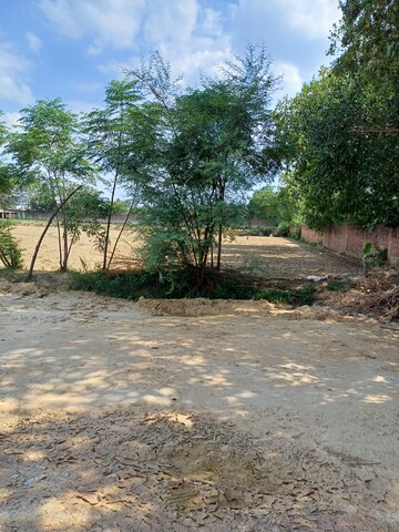  Plot – Garden View at Bhopani - for Sale