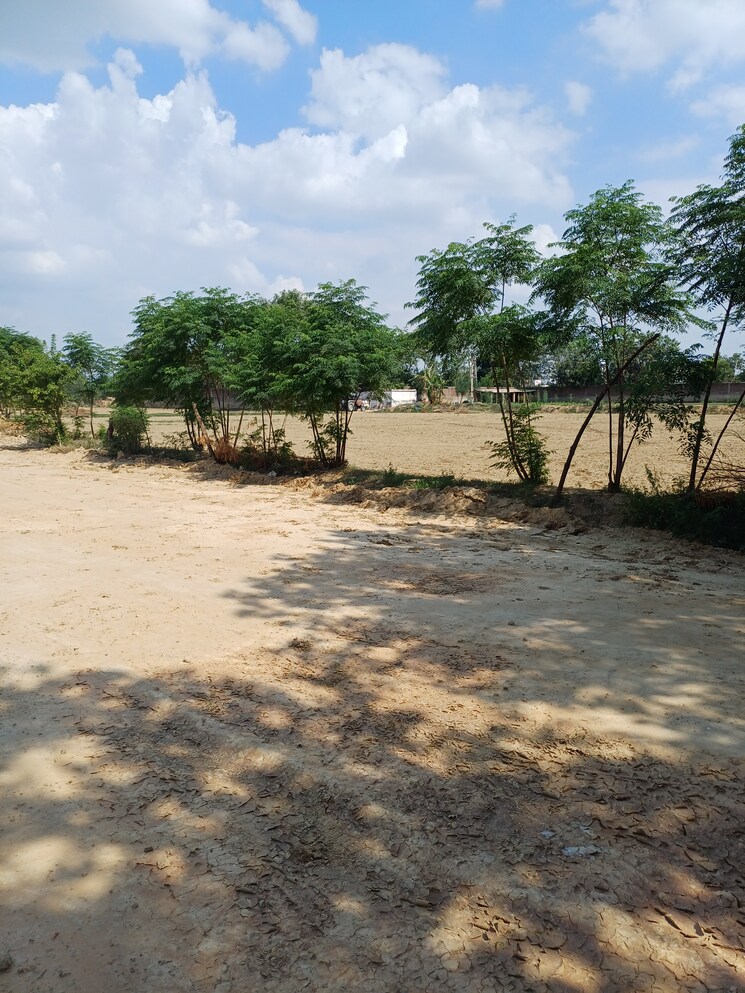 Exterior View, bhopani  56 Sq.Yd. Plot In Bhopani Faridabad 8887998