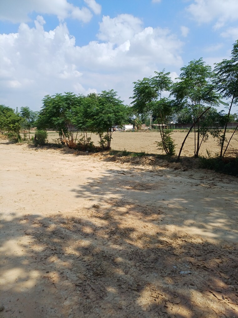 Exterior View, bhopani  56 Sq.Yd. Plot In Bhopani Faridabad 8887998