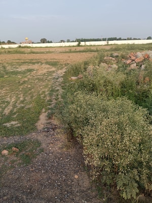 Plot Area in  Plot at Vijay Nagar – for Sale