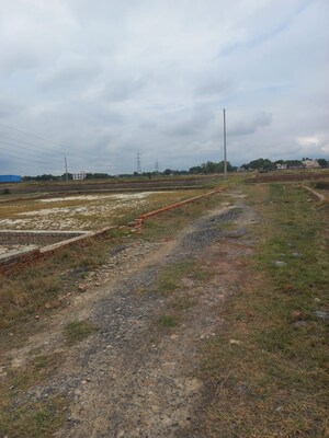  Plot For Sale in Babatpur