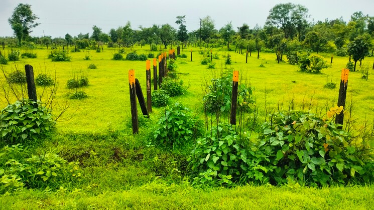 Exterior View, murbad road  4475 Sq.Ft. Plot In Murbad Road Thane 8883823