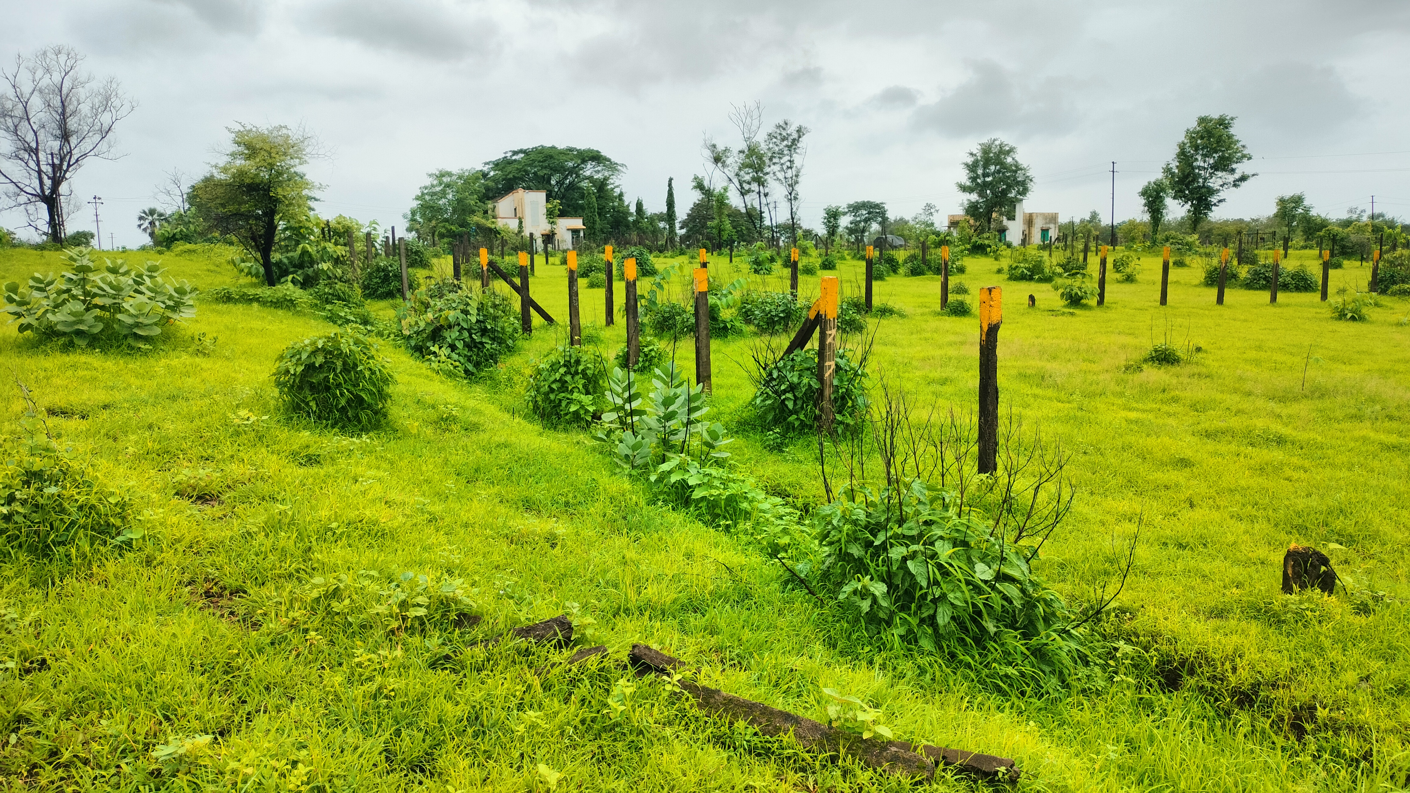 Plot For Sale in Murbad Road