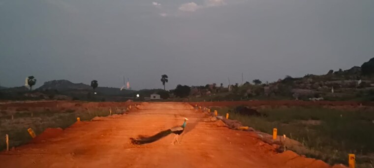 undefined, ramoji film city  162 Sq.Yd. Plot In Ramoji Film City Hyderabad 8887955