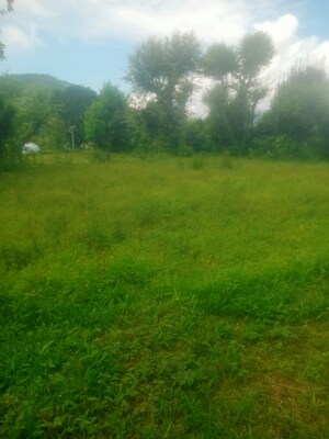  Land For Sale in Bhimtal