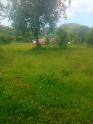 Plot Area in  Land at Bhimtal – for Sale