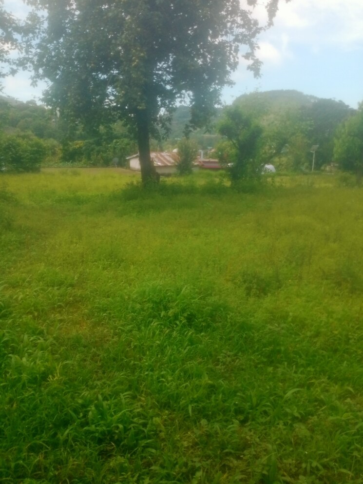 undefined, bhimtal Commercial Land 10500 Sq.Ft. In Bhimtal Nainital 8888055