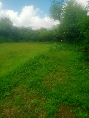 Plot Area in  Land at Bhimtal – for Sale