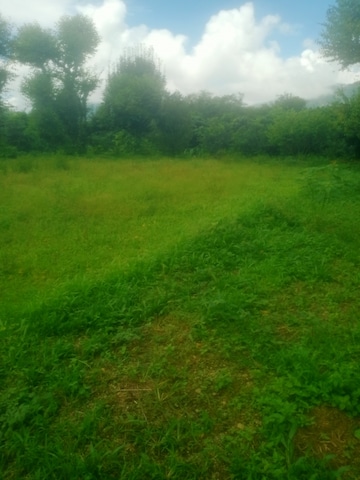 Plot Area in  Land at Bhimtal – for Sale