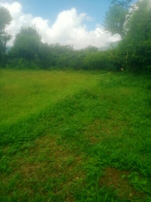  Land – Garden View at Bhimtal - for Sale