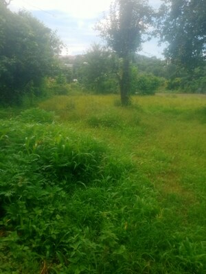 Plot Area in  Land at Bhimtal – for Sale