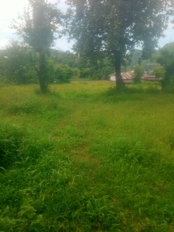 Plot Area in  Land at Bhimtal – for Sale