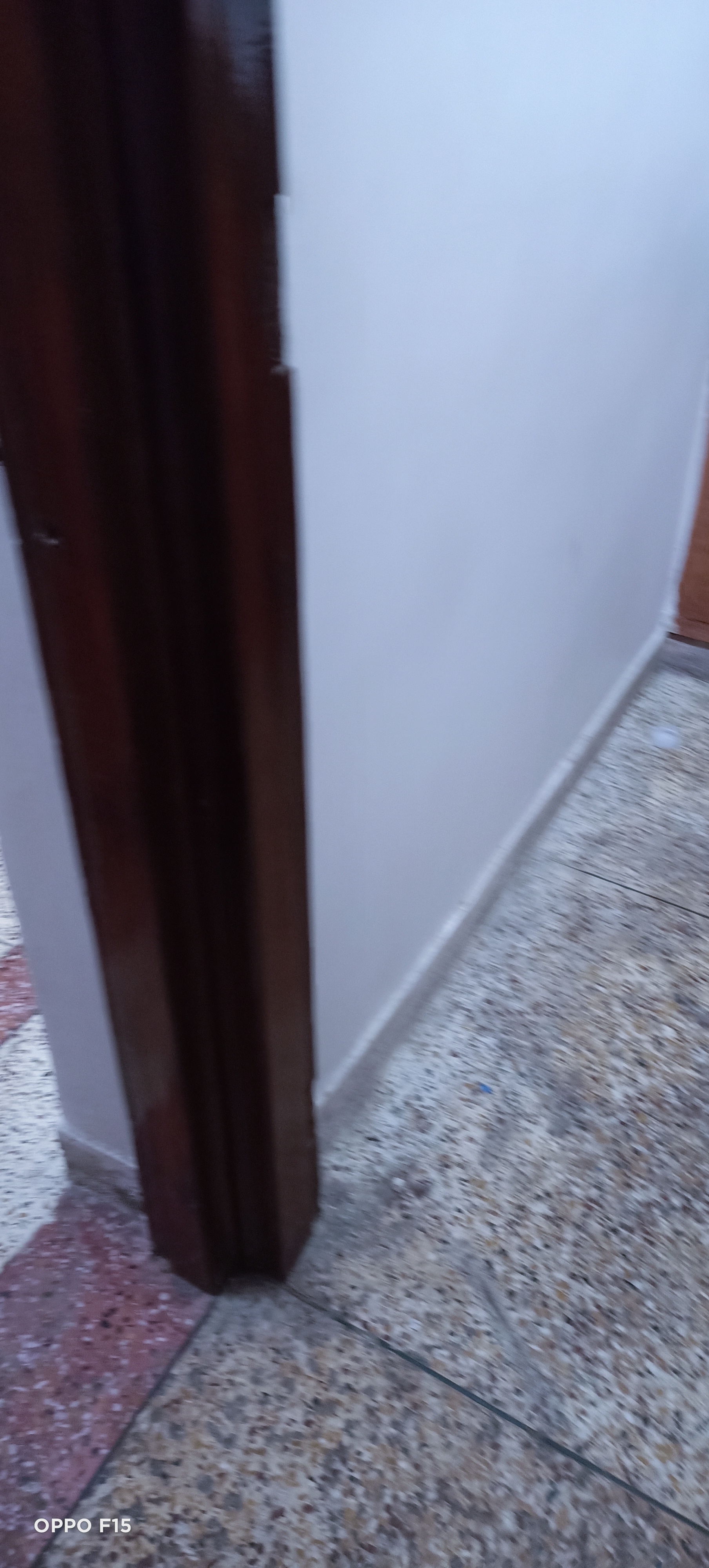 2 BHK Independent House For Rent in Alpha 1 RWA