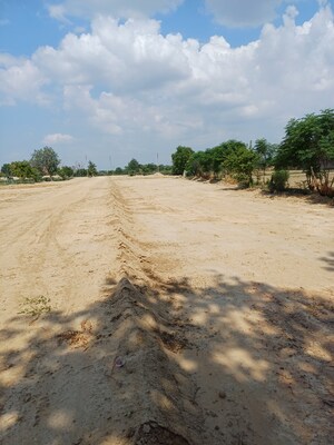 Plot Area in  Plot at Bhopani – for Sale