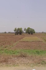 1200 Sq.Ft. Plot in Parsa Sampatchak Jhaichak