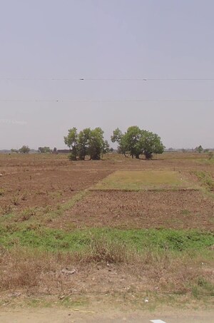  Plot For Sale in Sampatchak