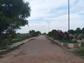 Plot Area in  Plot at Mansanpalle – for Sale