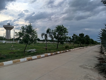  Plot For Sale in Thimmapur