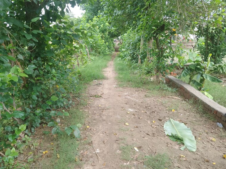 undefined, khorabar  1500 Sq.Yd. Plot In Khorabar Gorakhpur 8888639