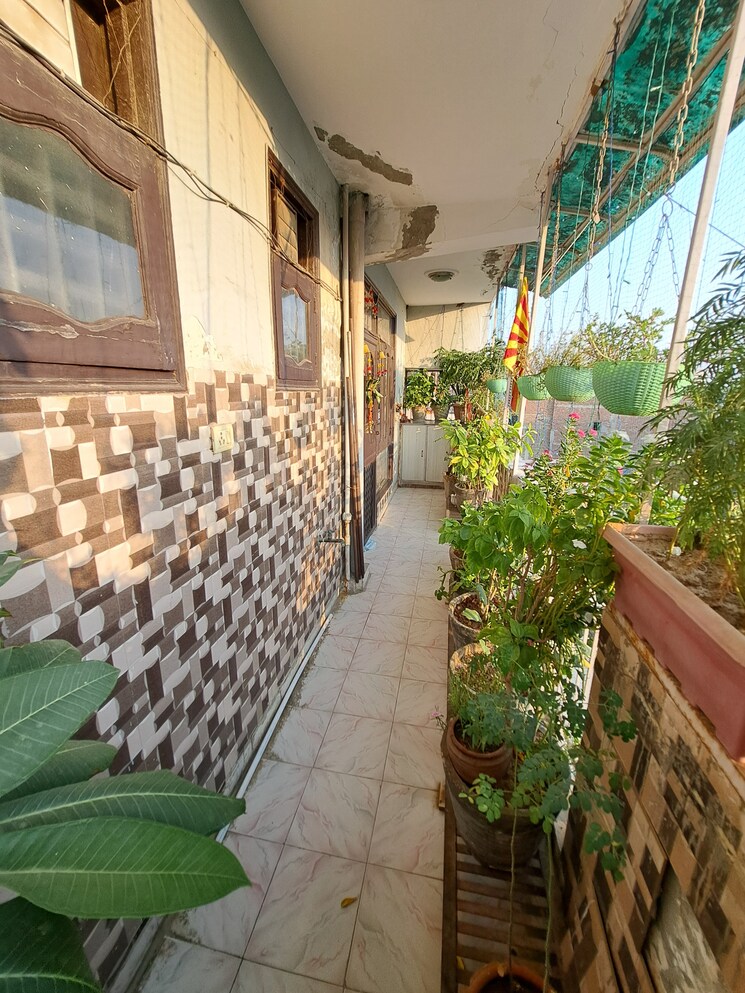 Balcony, dlf-dilshad-plaza 2 Bedroom 1100 Sq.Ft. Apartment In Shalimar Garden Ghaziabad 8888102