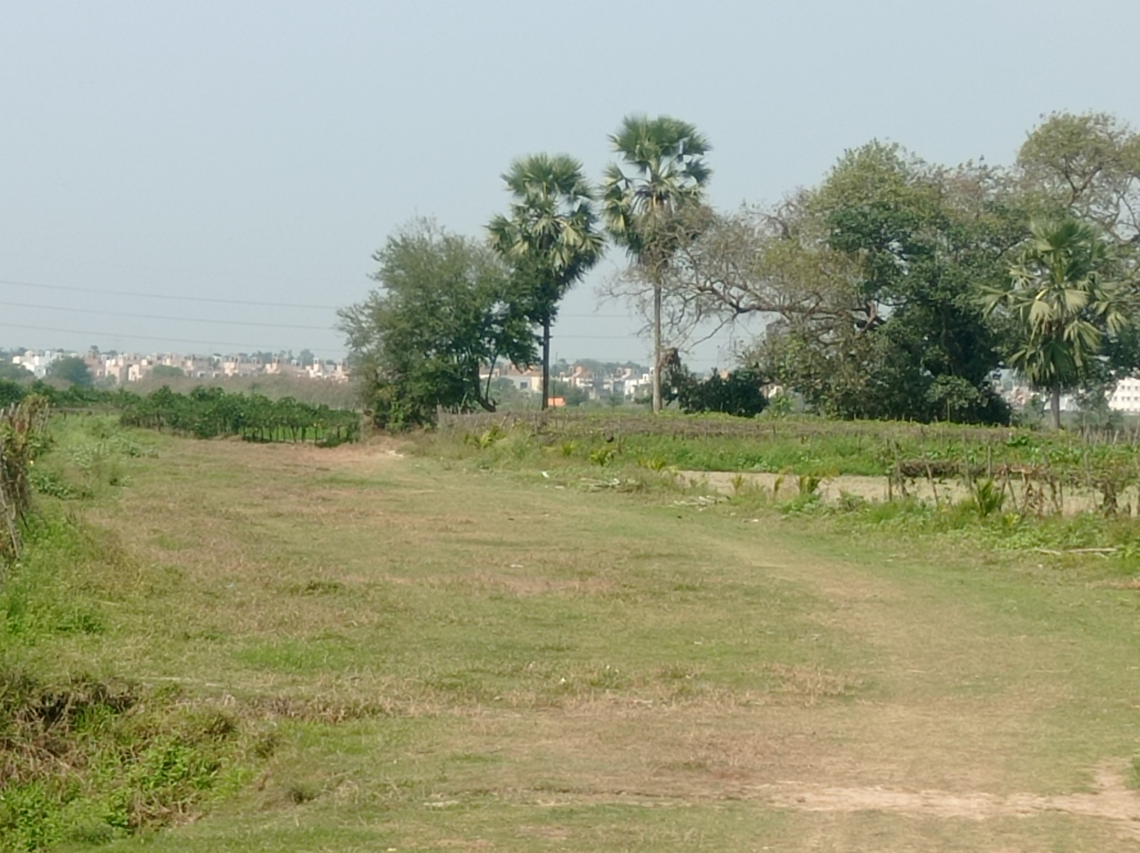Plot For Sale in Plot In Piyali 