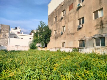 Plot Area in  Land at C Block Lohia Nagar – for Sale