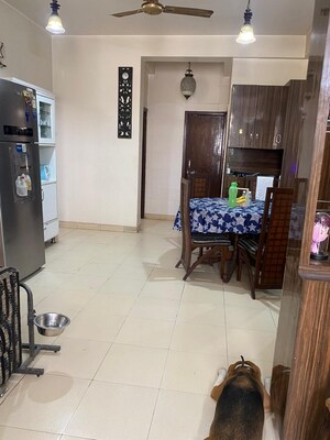 Living Room in 3 BHK Builder Floor at SRS Residency, Sector 88 – for Sale