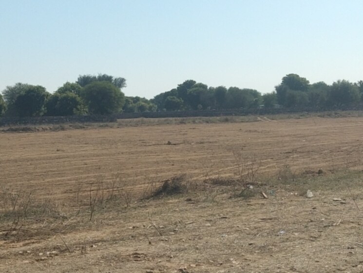 undefined, ajmer road  100 Sq.Yd. Plot In Ajmer Road Jaipur 8889196