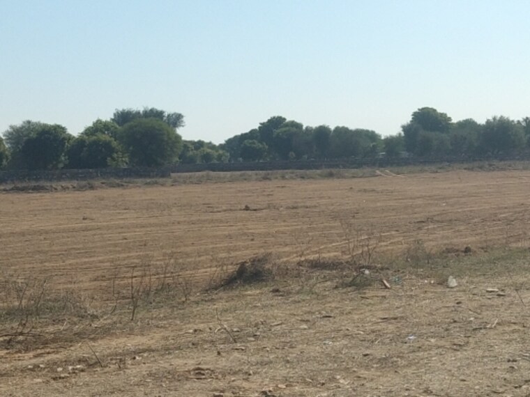 undefined, ajmer road  100 Sq.Yd. Plot In Ajmer Road Jaipur 8889196