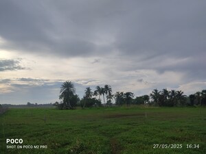 Plot Area in  Plot at Pailan – for Sale