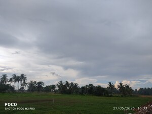 Plot Area in  Plot at Pailan – for Sale