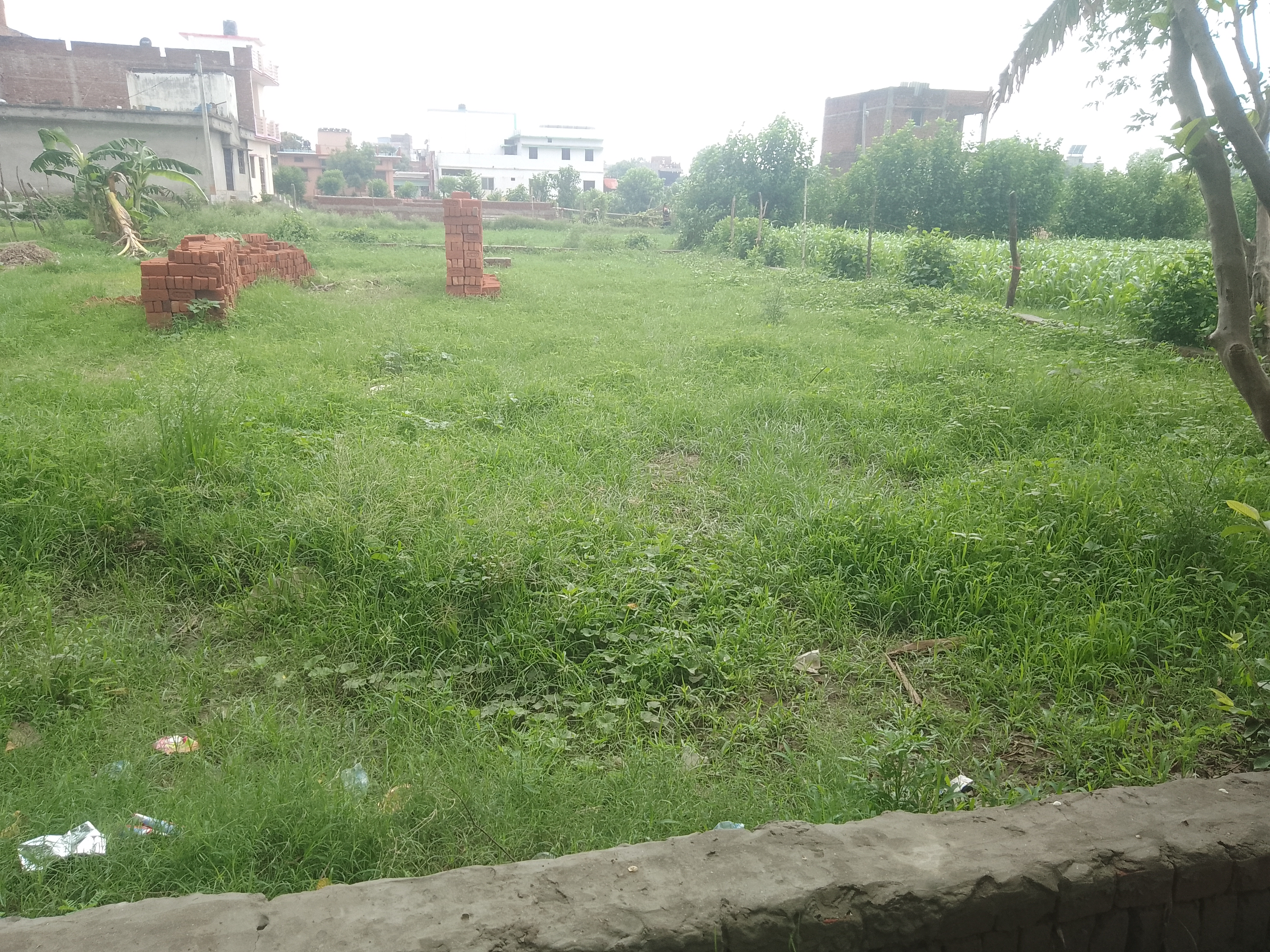 Plot For Sale in Taramandal
