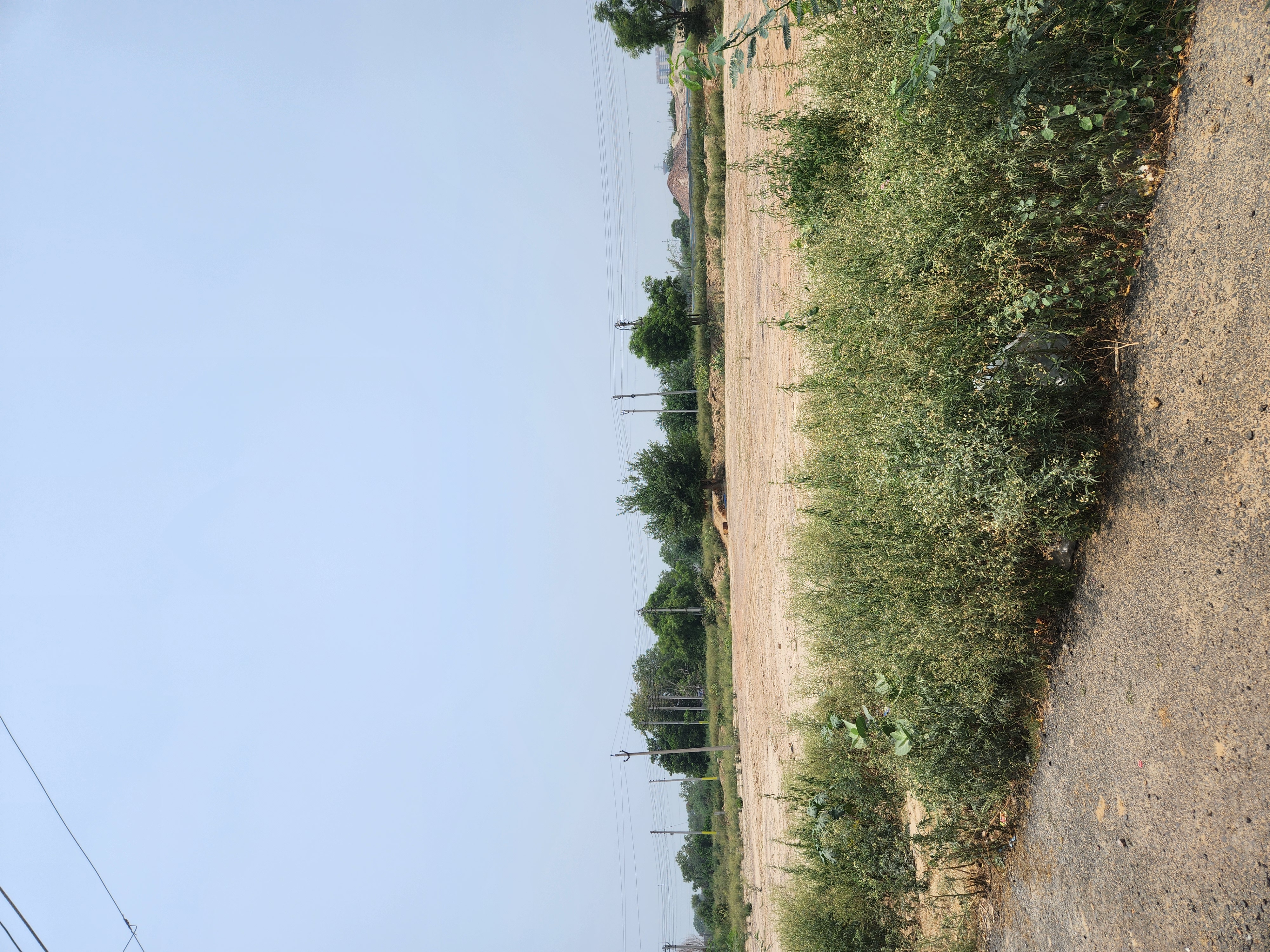 Plot For Sale in Sector 11